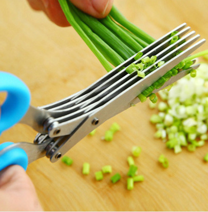 Tainless Steel Multi-function Kitchen Multi-layer Spice Chopped Green Onion Cut Five-layer Scissors